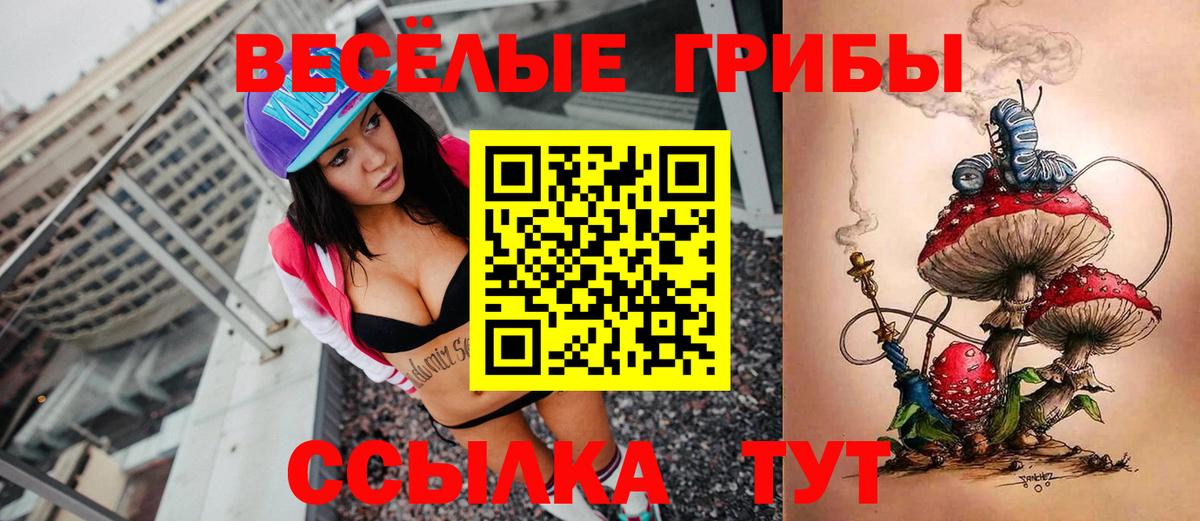 Галлюциногенные грибы MAGIC MUSHROOMS  Галлюциногенные грибы MAGIC MUSHROOMS  продажа наркотиков  Воскресенск  Вход с VPN 